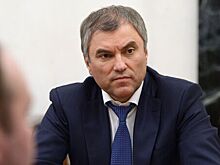 Володин объяснил признание Меркель о «попытке дать Украине время»