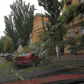 Унесенные ветром: ураган в Волгограде массово валит деревья и сносит будки для кваса