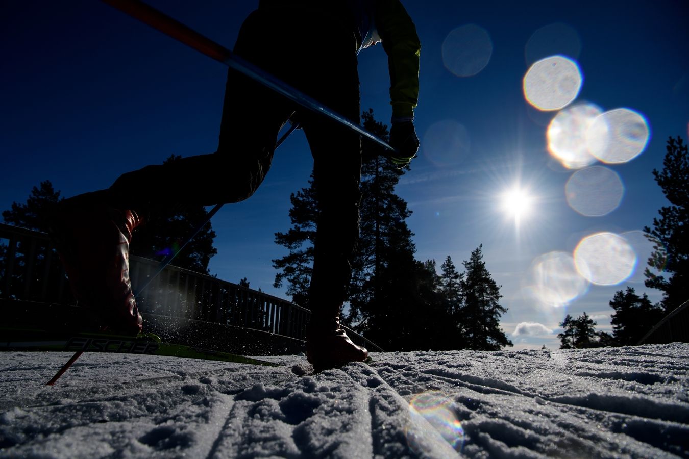 Cборная России по лыжным гонкам будет тренироваться в Алуште во время сбора в Крыму