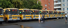На Алтае для муниципалитетов закупят автобусы на 500 млн рублей