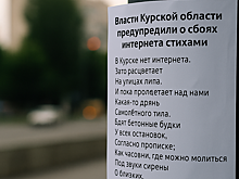 Власти Курской области предупредили о сбоях интернета стихами