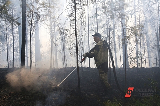 Лесной пожар в Красноярском крае остановили с помощью взрыва
