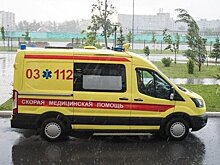 Общественники предложили создать в России систему вызова скорой помощи по СМС