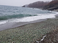 Знаменитый "стеклянный" пляж во Владивостоке может перейти в собственность города