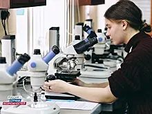 В Нижегородской области пройдет заключительный этап олимпиады «Я – профессионал» по трем направлениям