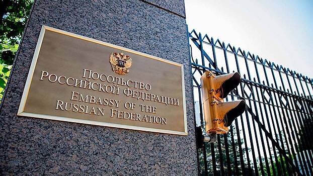 В посольстве РФ в Вашингтоне ответили на заявление генсека ОАГ о международном трибунале