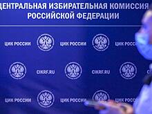 Зампред ЦИК рассказал, как пройдет голосование для иногородних в Москве