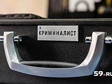 Как это работает. Кто рисует фотороботы, и что лежит в специальном чемодане эксперта-криминалиста