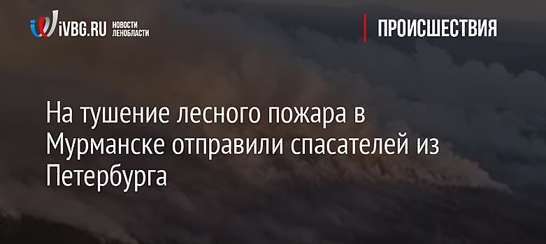 На тушение лесного пожара в Мурманске отправили спасателей из Петербурга