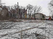 На Пятой просеке в Самаре остановили вырубку деревьев