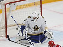 «Адмирал» расторг контракт с голкипером Коноваловым