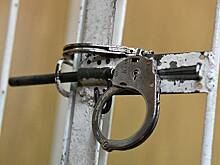 Россиянин получил срок за организацию преступного сообщества