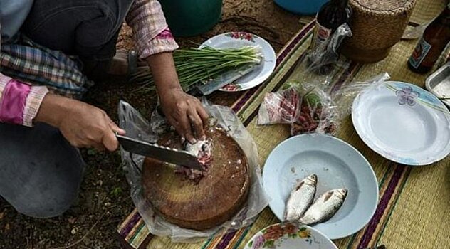 Туристов в Таиланде просят не есть блюда из сырой рыбы
