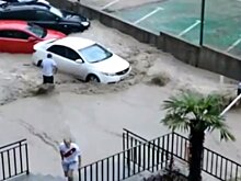 Сочи затопили ливневые дожди. Что происходит в городе перед встречей Путина и Эрдогана?