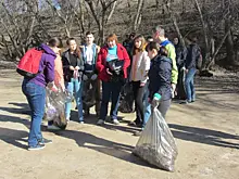 В Тольятти волонтеры собрали десять тонн мусора на лесном берегу