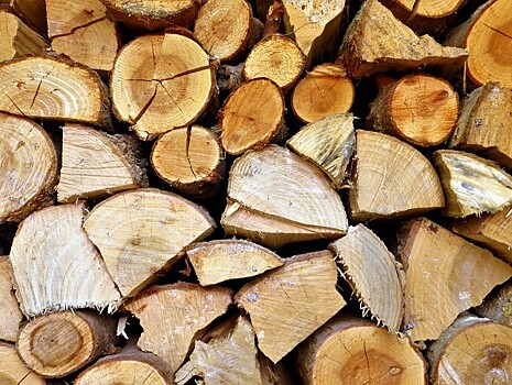 Волонтеры на грантовые деньги купили 50 машин дров одиноким пенсионерам