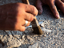 Открытие 551-миллионных окаменелостей изменило историю древней жизни