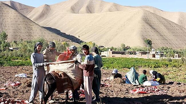 Новая миграционная политика: Не нравились узбеки с таджиками — получите талибов