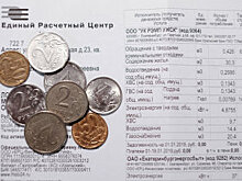 Бирюков: В 2020 году реконструируют четыре подводных газопровода Москвы