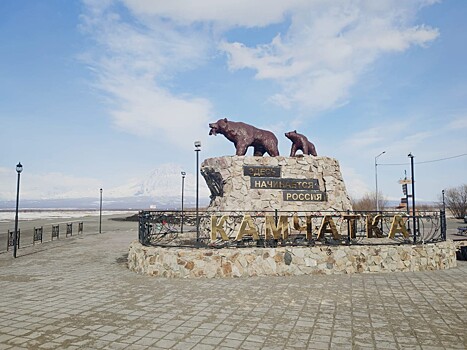 Названа вероятная причина агрессии медведя, задравшего пенсионерку на территории школы на Камчатке