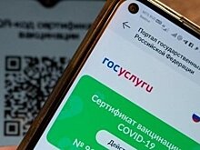 В казанском Кремле анонсировали подробности введения QR-кодов в общественном транспорте