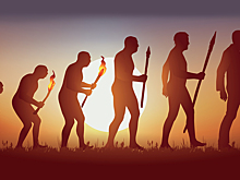 Антрополог объяснил, как именно люди сейчас эволюционируют