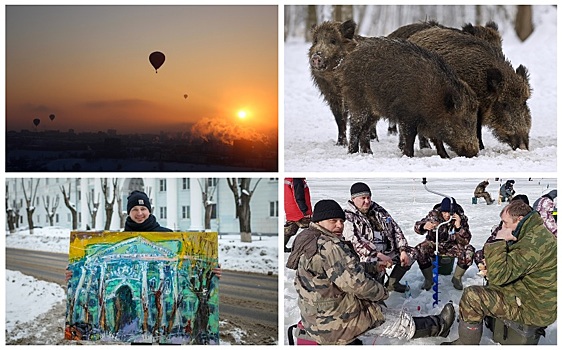 Выходные в Нижнем Новгороде: с реальными кабанами, зимним дрифтом и лошадками