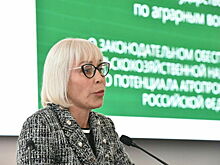 Школкина рассказала, как будут поддерживать сельхозпроизводителей
