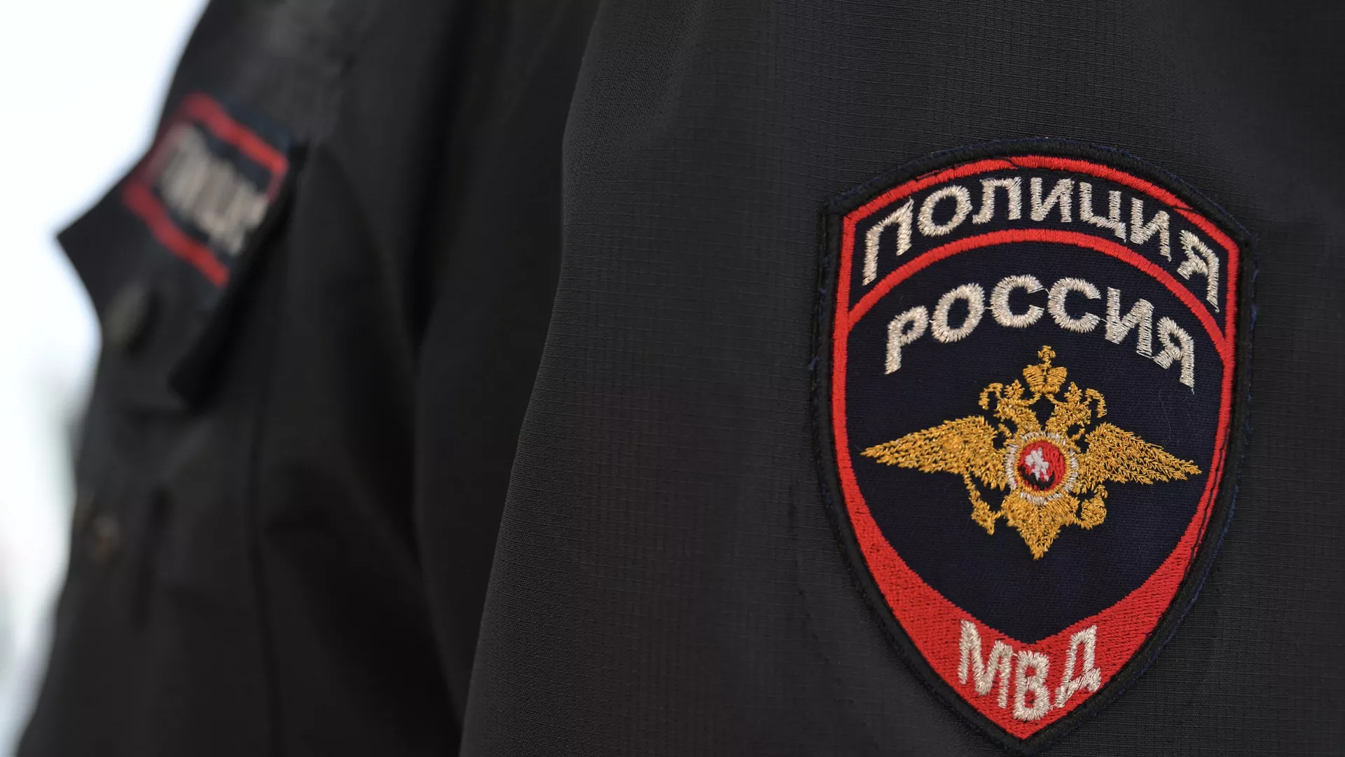 Установлена личность живодера, привязавшего двух собак к машине