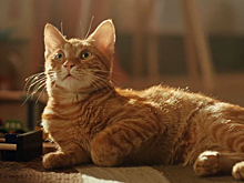 ПИК выпустил ролик в поддержку нового детского проекта в Парке Горького