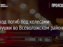 Пешеход погиб под колесами легковушки во Всеволожском районе