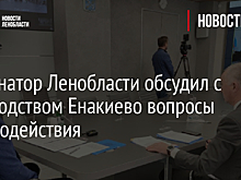 Губернатор Ленобласти обсудил с руководством Енакиево вопросы взаимодействия