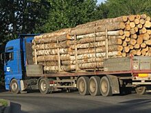 В Башкирии выявлено более 20 случаев незаконного вывоза лесоматериалов