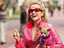 Почему Уизерспун внезапно объявила о разводе