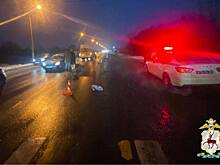 Женщина-пешеход погибла под колесами двух автомобилей в Нижегородской области