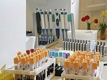 В товарах компаний Белоруссии вновь нашли нарушения