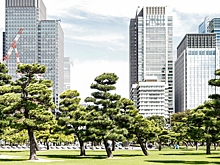 Стало известно, ради чего туристы из Китая едут в Японию