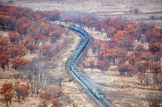 Более 75% событий (браков) в вагонном комплексе отнесено на ответственность вагоноремонтных предприятий