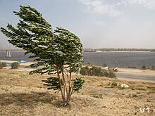 Волгоград снова накрыло густое пыльное облако