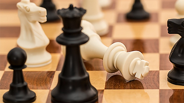 Минобр РФ поддержал идею введения урока шахмат в школах