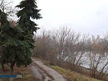 Пензенские синоптики дали прогноз погоды на 8 декабря