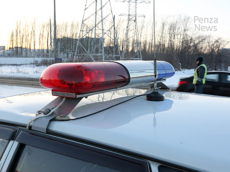 В Пензенской области организованы массовые проверки водителей на состояние опьянения
