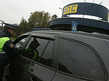 В Госдуму внесли проект о сроках снятия тонировки со стекол автомобиля