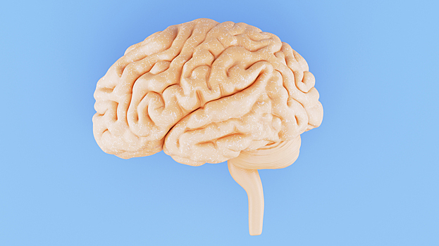 Прививку от деменции испытали на людях