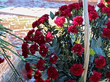 В Свердловской области действуют «черные вдовы»: нацелены на тайные браки и легкие деньги