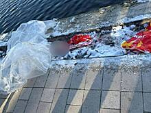 Чудовищные подробности: в пакете из пруда находилась голова ребенка