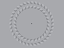 Учёные выяснили, как оптическая иллюзия действует на наш мозг