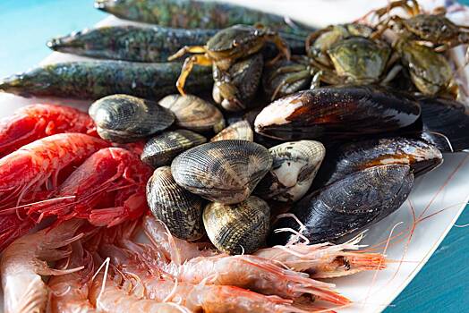 Развеян миф о вредном загрязнении морепродуктов