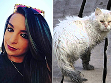 Девушка погладила бездомного котенка, а теперь за ее жизнь борются врачи