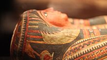 Ученые раскрыли тайну смертоносного «проклятия мумии»